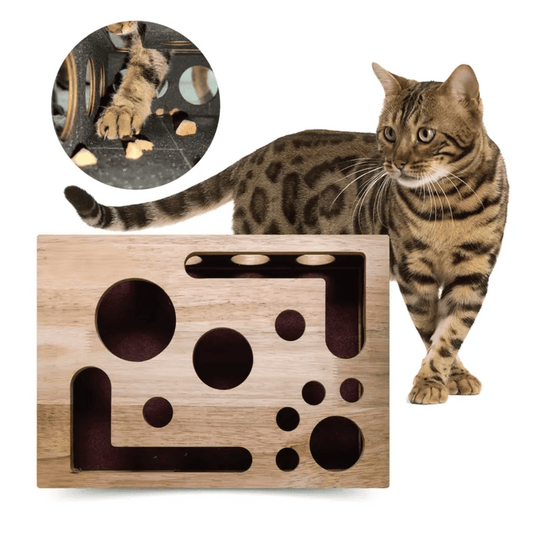 Cleara™ Cat Scratch Box – Self Trimming Nail Care & Play Toy